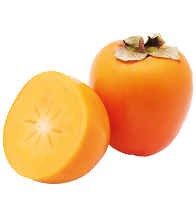 PERSIMMON