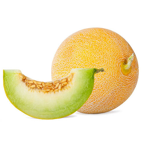 MELON