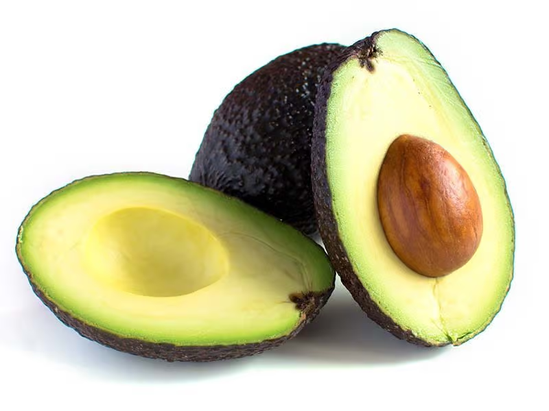 AVOCAT