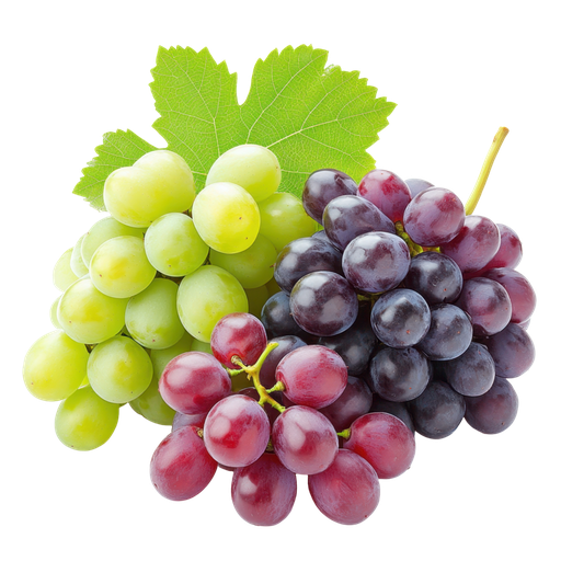 [27] RAISIN